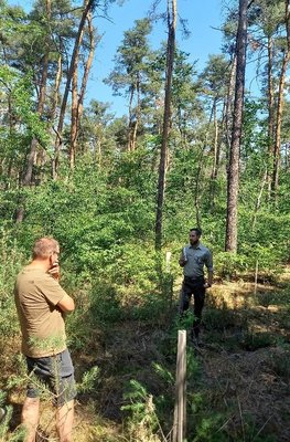 Die Begehung des Stadtwaldes unter der sachkundigen Führung des neuen Revierleiters des Forstamtes Lampertheim, Herrn Matthias Beißwanger, stand unter dem fachlichen Aspekt Wildverbiss und Auswirkungen auf den Waldumbau.