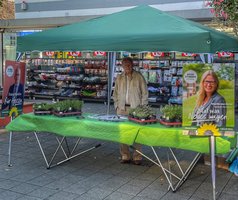 Dieter Melchior am Info-Stand zur Landtagswahl auf dem Schillerplatz