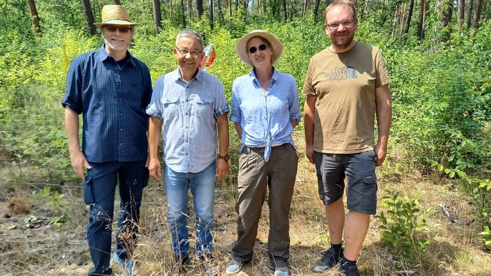 Die Lampertheimer Fraktion der Grünen wurde bei der Waldbegehung durch Stefan Nickel (Fraktionsvorsitzender), Helmut Rinkel (stellv. Stadtverordnetenvorsteher), Mirja Mietzker-Becker (Direktkandidatin Bergstraße-West zur Landtagswahl) und Daniel Schaefer (Stadtrat) vertreten (von links nach rechts).